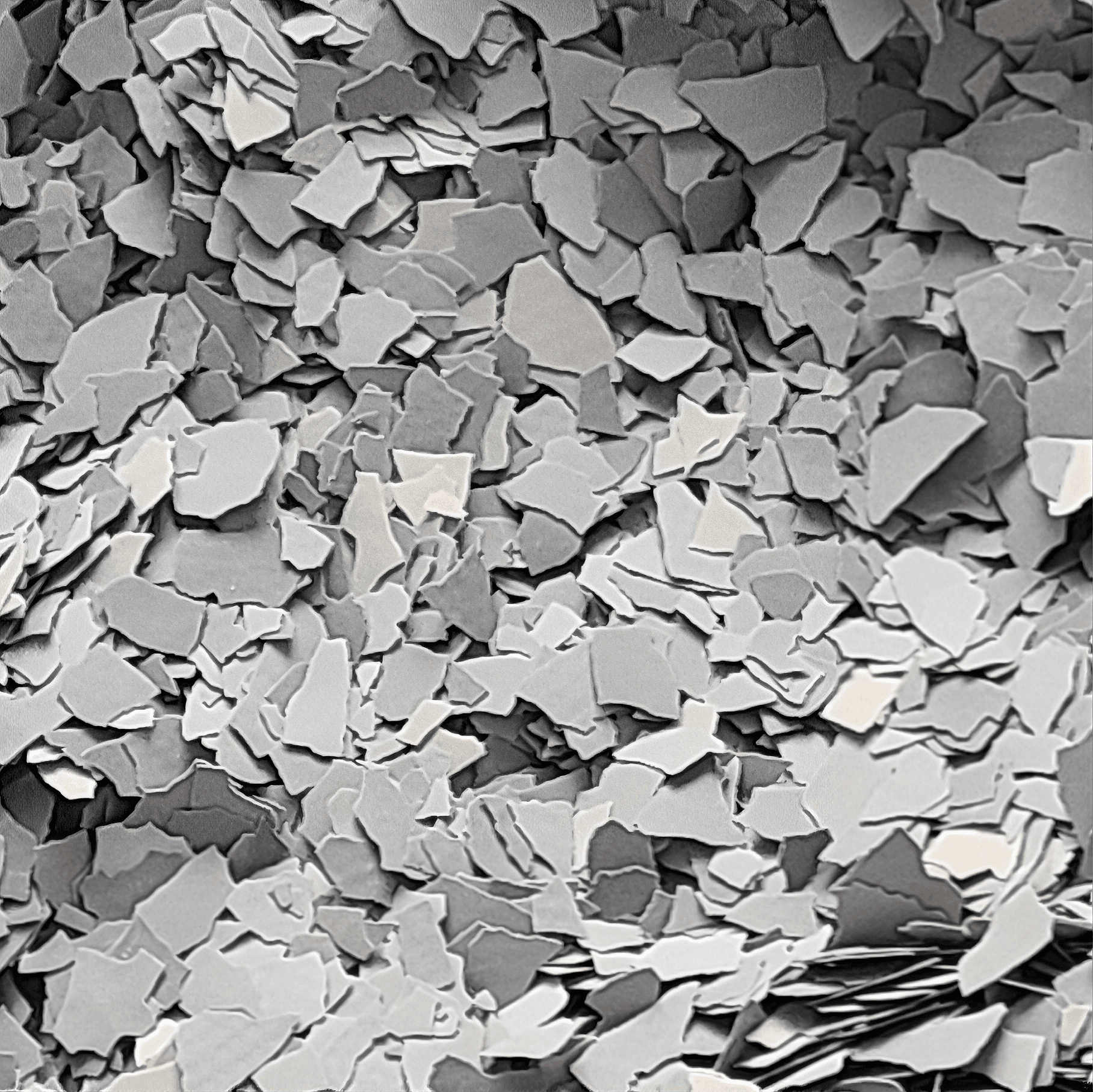 Timberwolf Surface